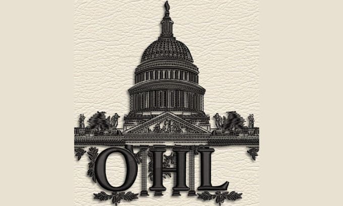 do 3d puff and flat embroidery digitizing professionally