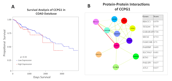 do bioinformatics data analysis