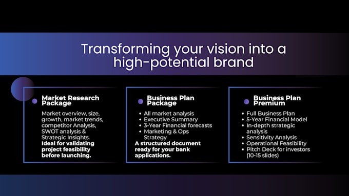 craft a professional business plan for funding