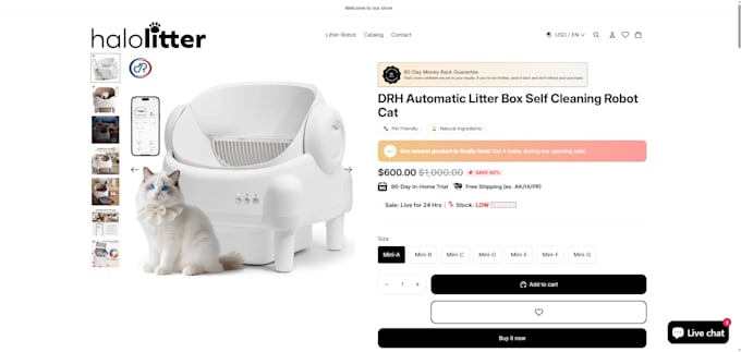 create a winning shopify dropshipping store using the latest shopify theme