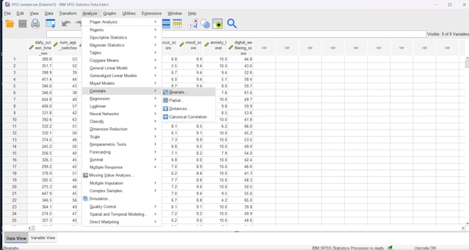 perform statistical analysis using spss for your research or dissertation
