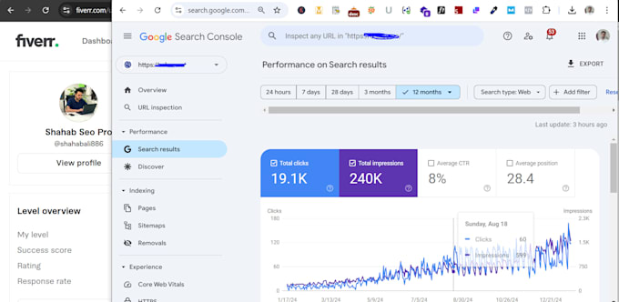 do complete monthly local SEO, on page and off page for top google ranking