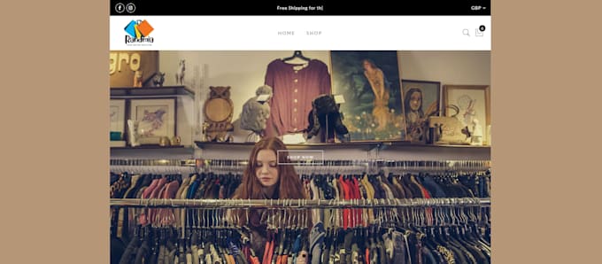 manage shopify store, create shopify dropshipping store