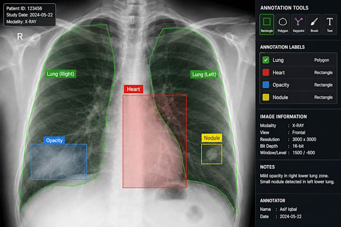 do image annotation, data labeling, bounding box, text tagging for ai models