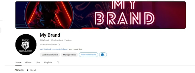 do youtube professional channel create ,setup and optimize