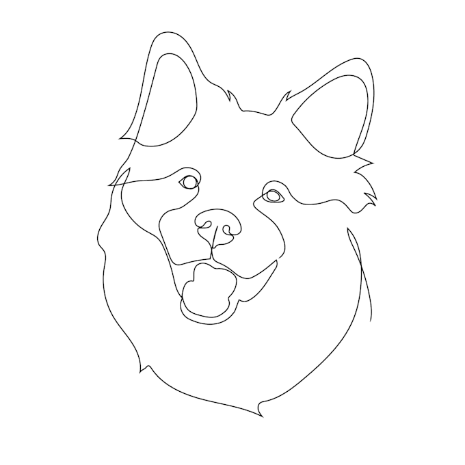 your pet into single line art vector