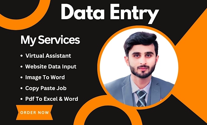 do data entry, web scraping, extraction, and data mining