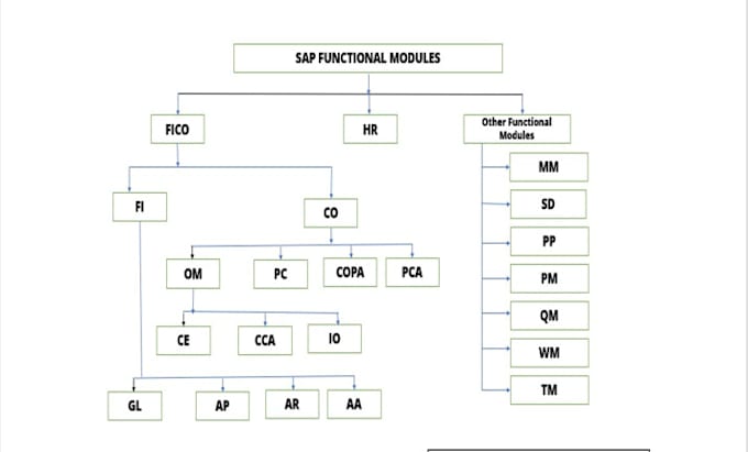 provide sap mm and qm services