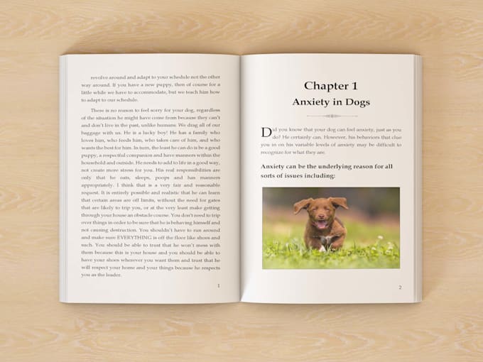 do paperback and kindle ebook formatting, amazon KDP book formatting