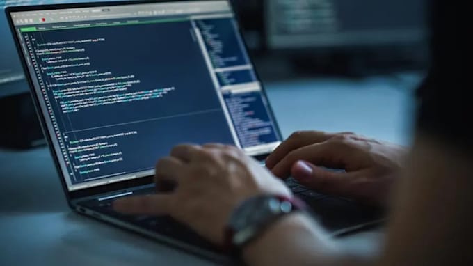 do any programming works, assignments and project