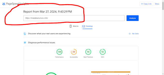 do speed optimization for gtmetrix, google page speed insights with wp rocket