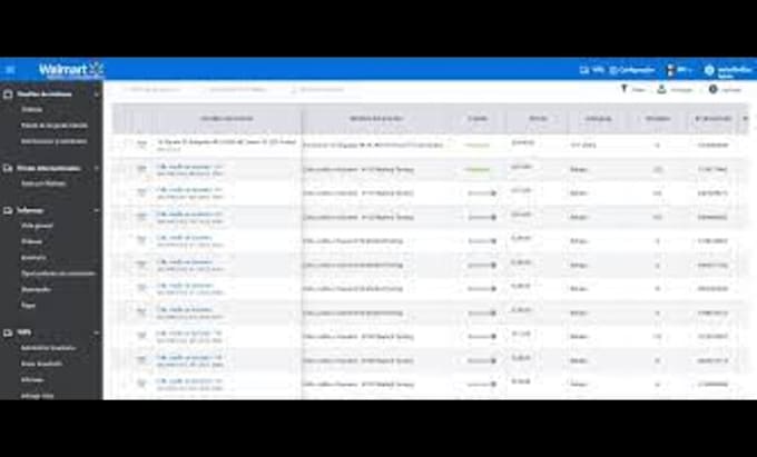 provide walmart store management services