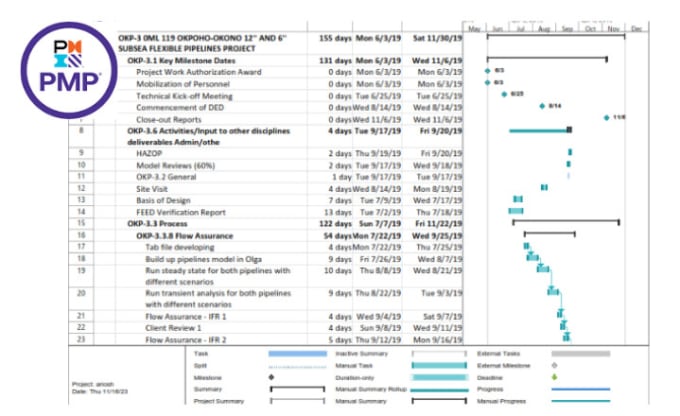 train individual to become primavera p6 or microsoft project planner
