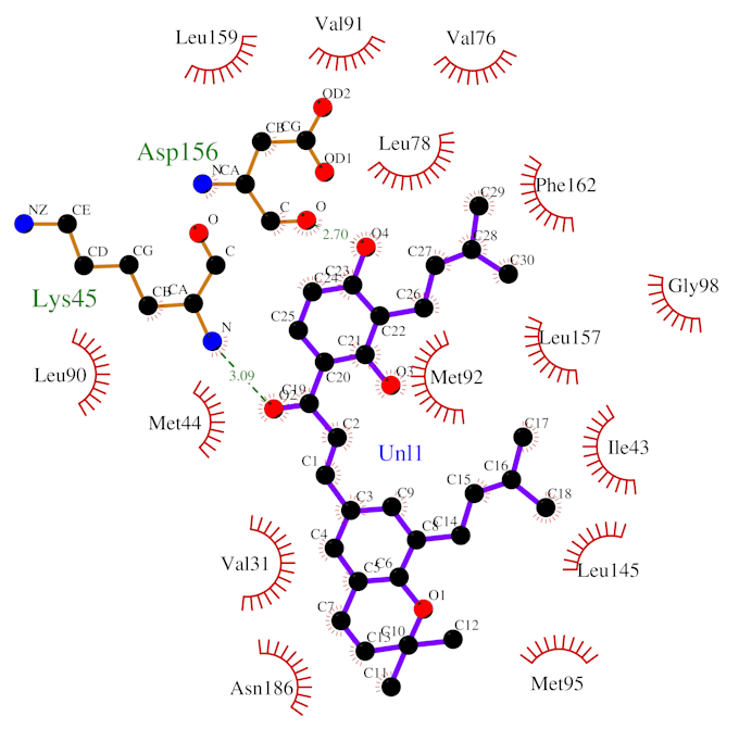 do docking for protein and ligands