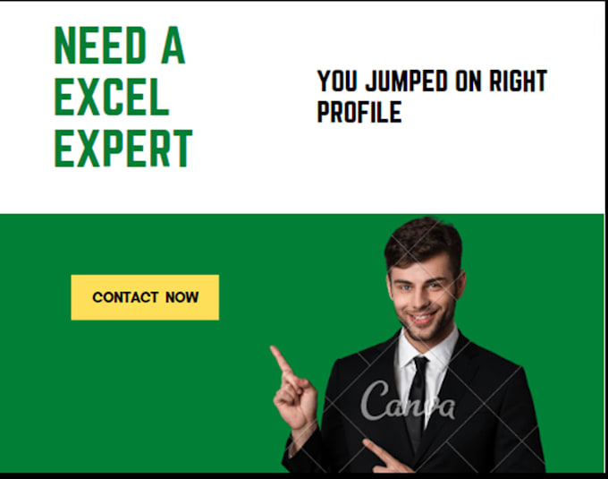expertly work on excel dashboard and functons