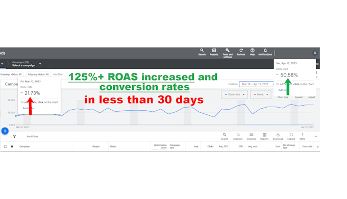 manage google ads campaigns on monthly basis and optimize