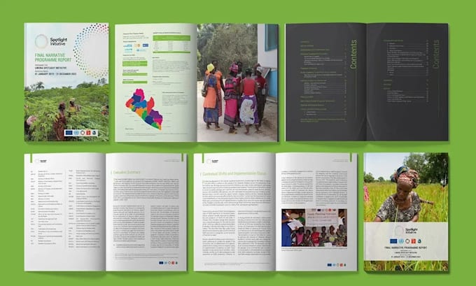 design a professional annual report or impact report