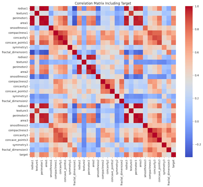 python data science, machine learning projects delivery in 24h