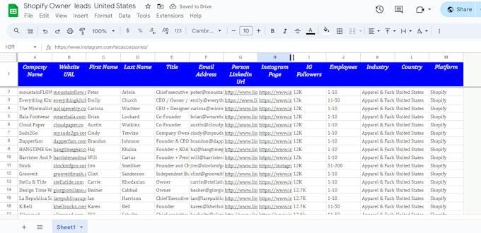 shopify store owner leads and dtc ecommerce leads
