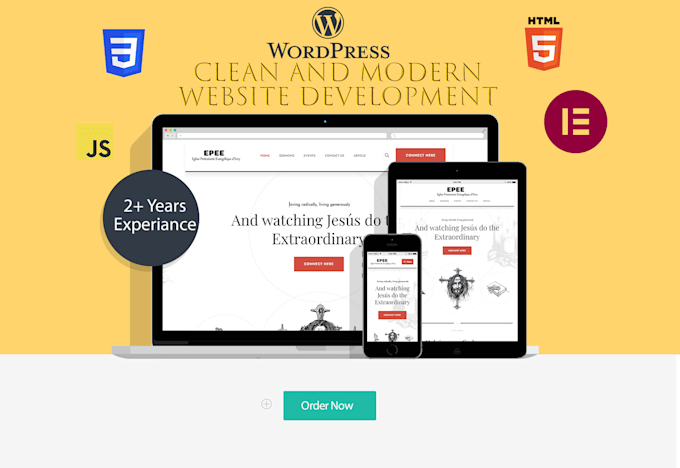 develop a custom, professional wordpress website