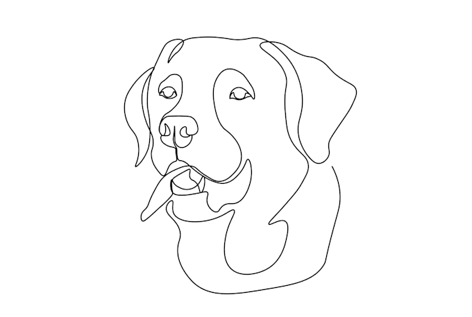draw minimalist continuous line art within 5 hrs
