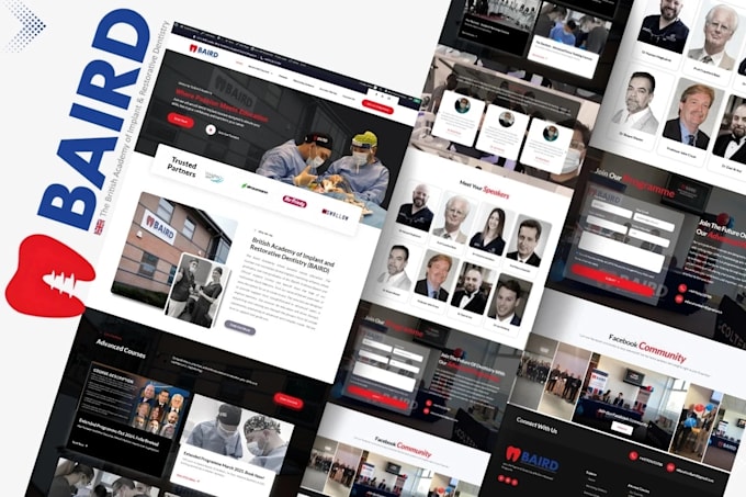 do wordpress website development , website design , landing page with elementor