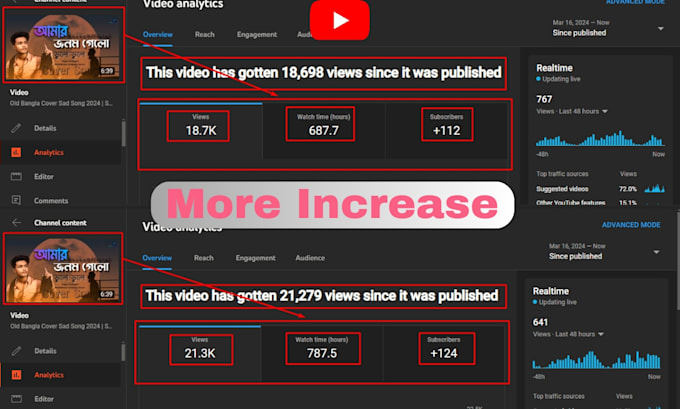 do youtube video SEO or channel promotion for monetization