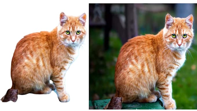 remove background perfectly for photos