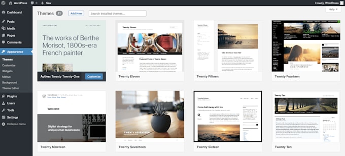 manage, fix wordpress websites