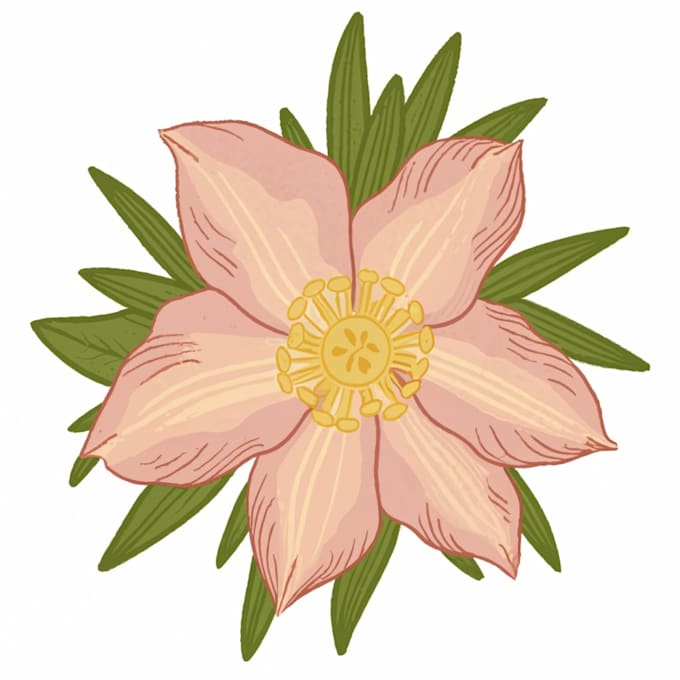 create botanical illustration of flowers