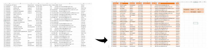 clean, organize, and format your messy excel or CSV data professionally
