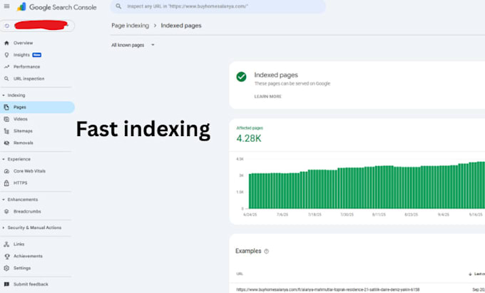 fix technical issues and on page SEO, website audit, google search console