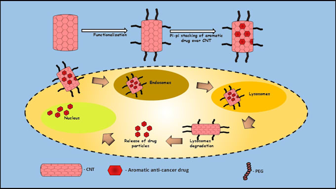 do scientific illustration and graphical abstract for journal publication