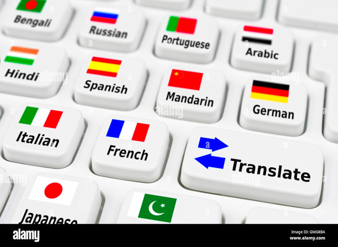expert multilingual translator accurate and  fast