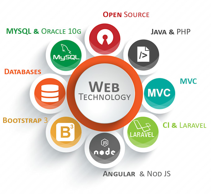 fix bugs in the frontend or backend of the website
