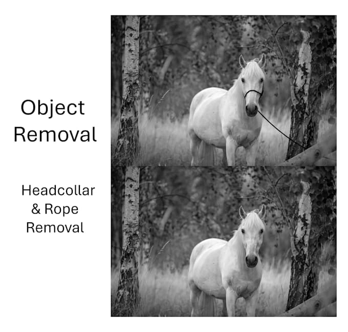 do bulk post processing, retouching and image editing