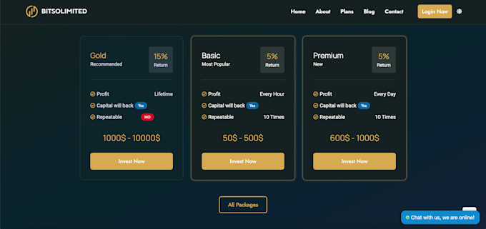 build a crypto investment website