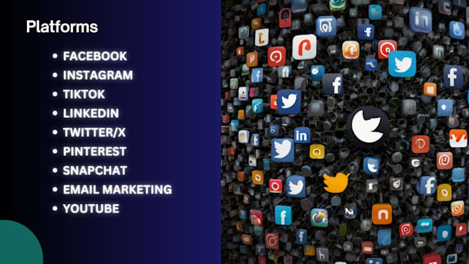 be your expert social media handler and personal assistant