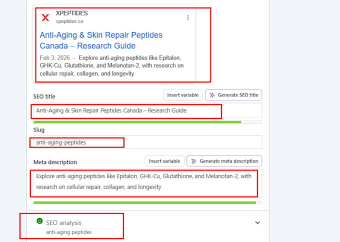 do onpage SEO and technical optimization for your website
