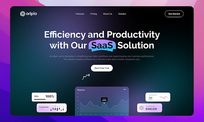 build software and saas startup website, saas website development website