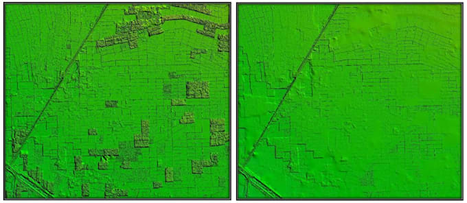 transform your dsm to accurate dtm