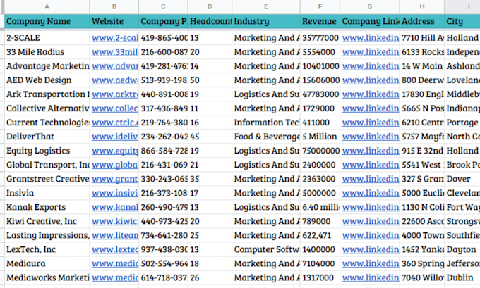enrich and clean your data with accurate contact details