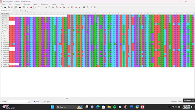 Do alignment dna, made phylogenic tree, graphical abstract, and ...