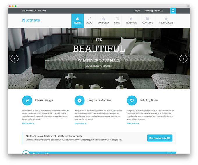 build a responsive wordpress website or blog