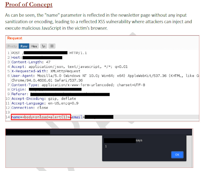 perform expert penetration testing and security audit