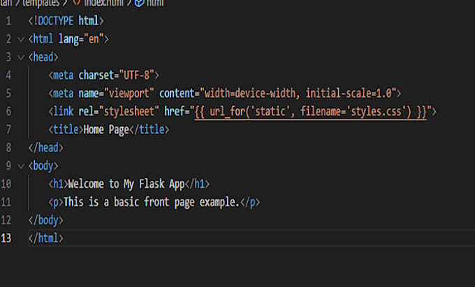 be a professional coder for tailored software projects