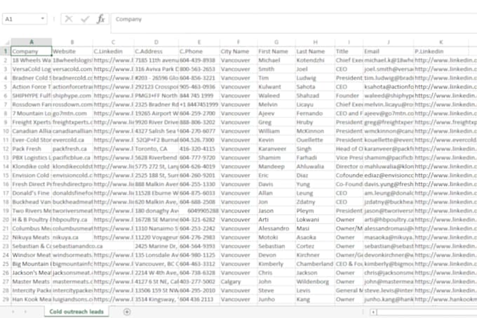 do data entry, web research and copy paste as a virtual assistant