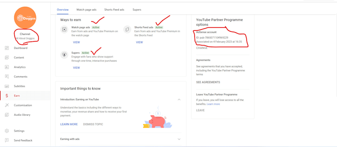 do organic video promotion to grow youtube channel for monetization