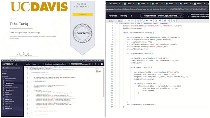 with any servicenow integration, scripting work job support