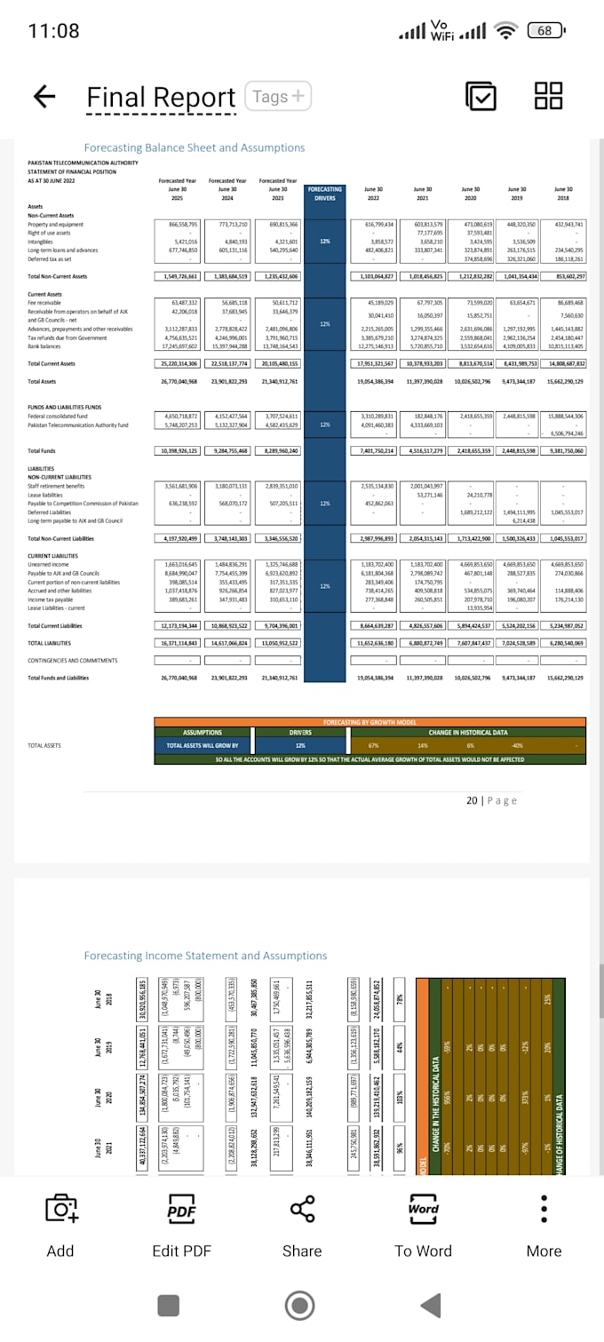 provide professional financial analysis and reporting